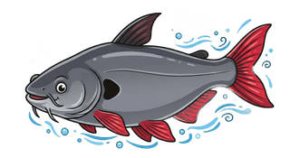 Pangasius Larnaudii