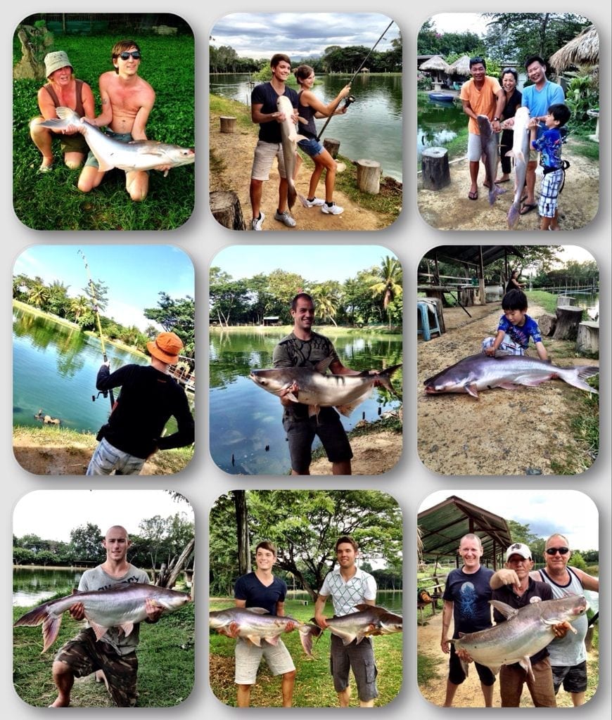 Fish information